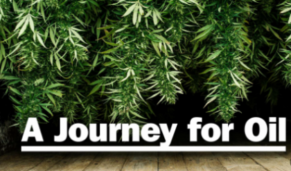 journey_for_oil_marijuana_kids